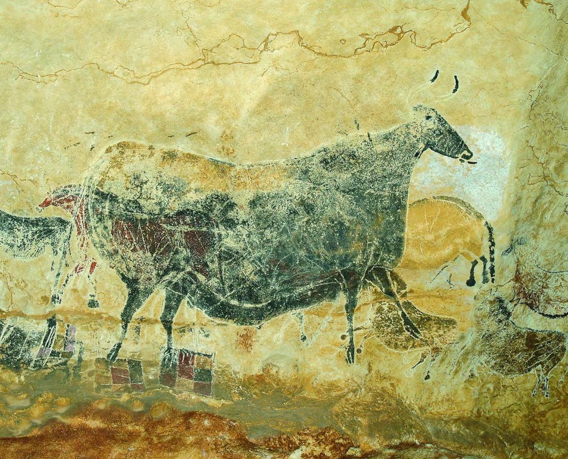 Appartamento Les Toits De Lascaux Montignac-Lascaux